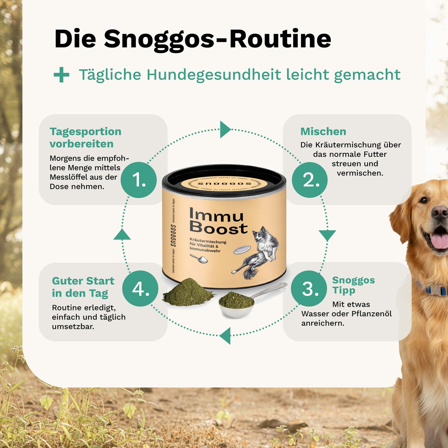 Kräutermischung für Vitalität & Immunabwehr