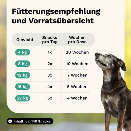 Snacks für ältere Hunde
