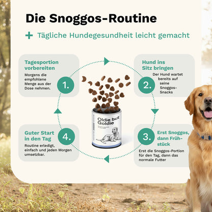 Snacks für ältere Hunde