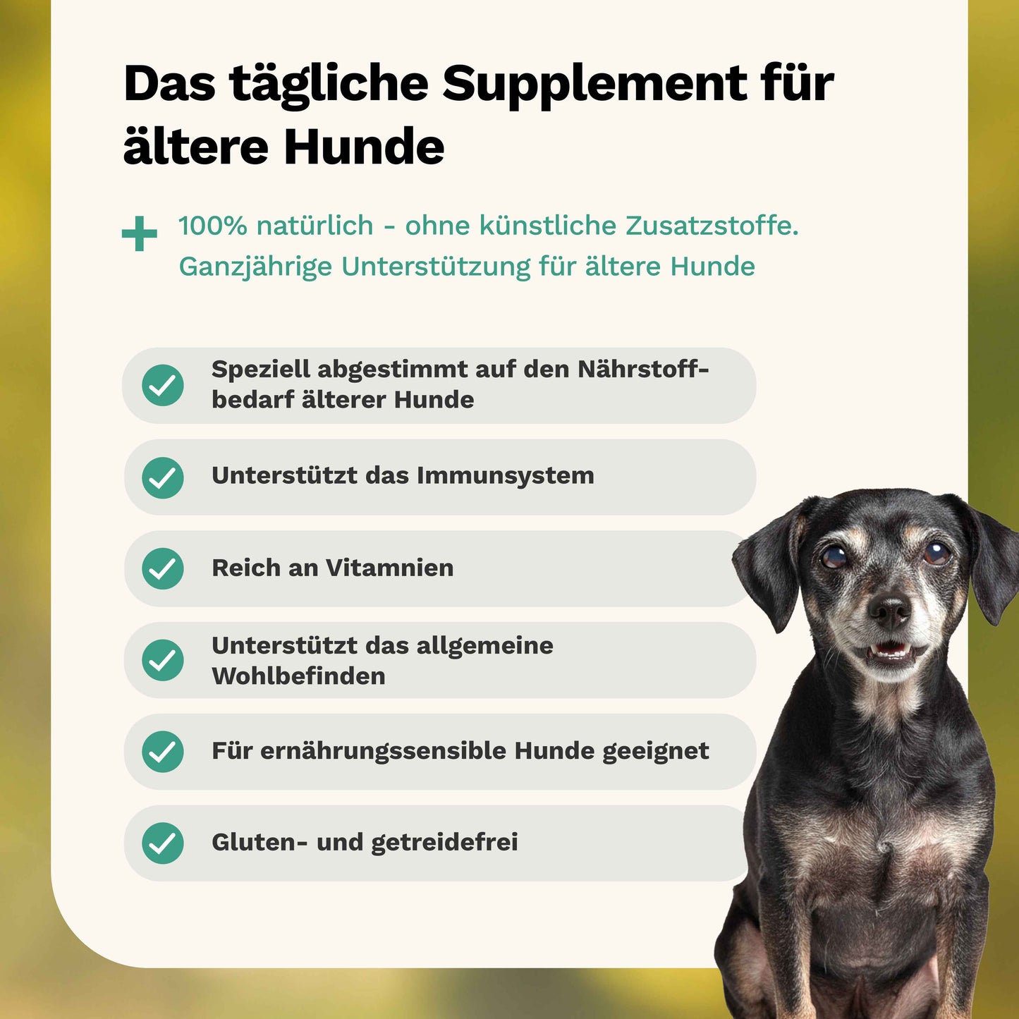 Snacks für ältere Hunde