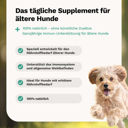 Kräutermischung für ältere Hunde
