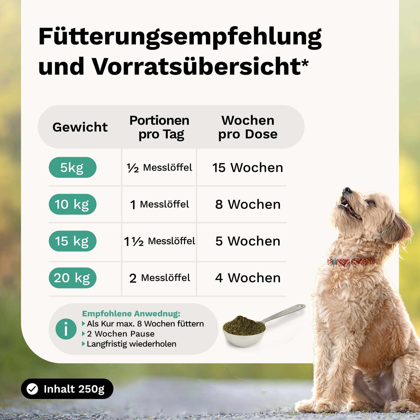 Kräutermischung für ältere Hunde