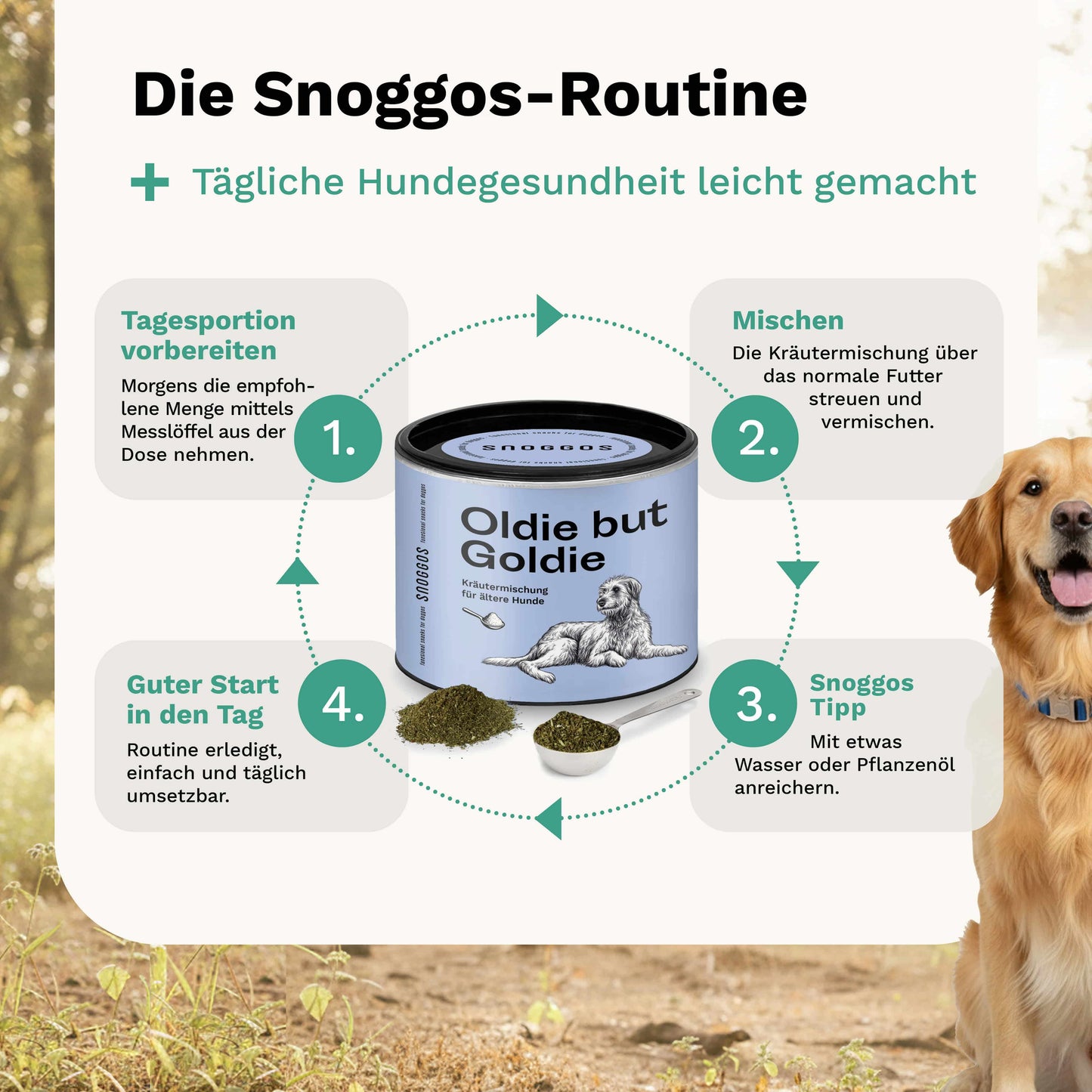 Kräutermischung für ältere Hunde