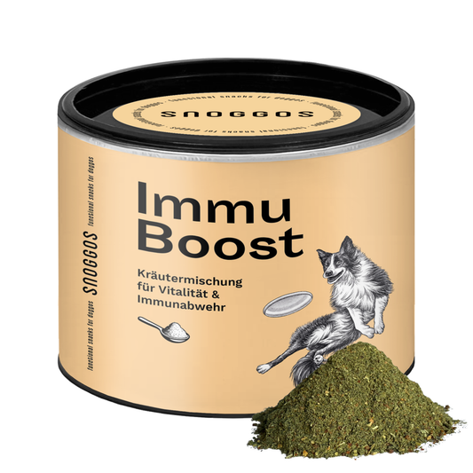 Kräutermischung für Vitalität & Immunabwehr