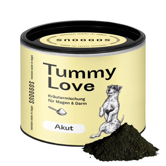 Kräutermischung: Für Magen & Darm AKUT gegen Durchfall