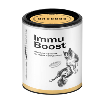 Immu Boost:  Unterstützung für Vitalität & Immunabwehr