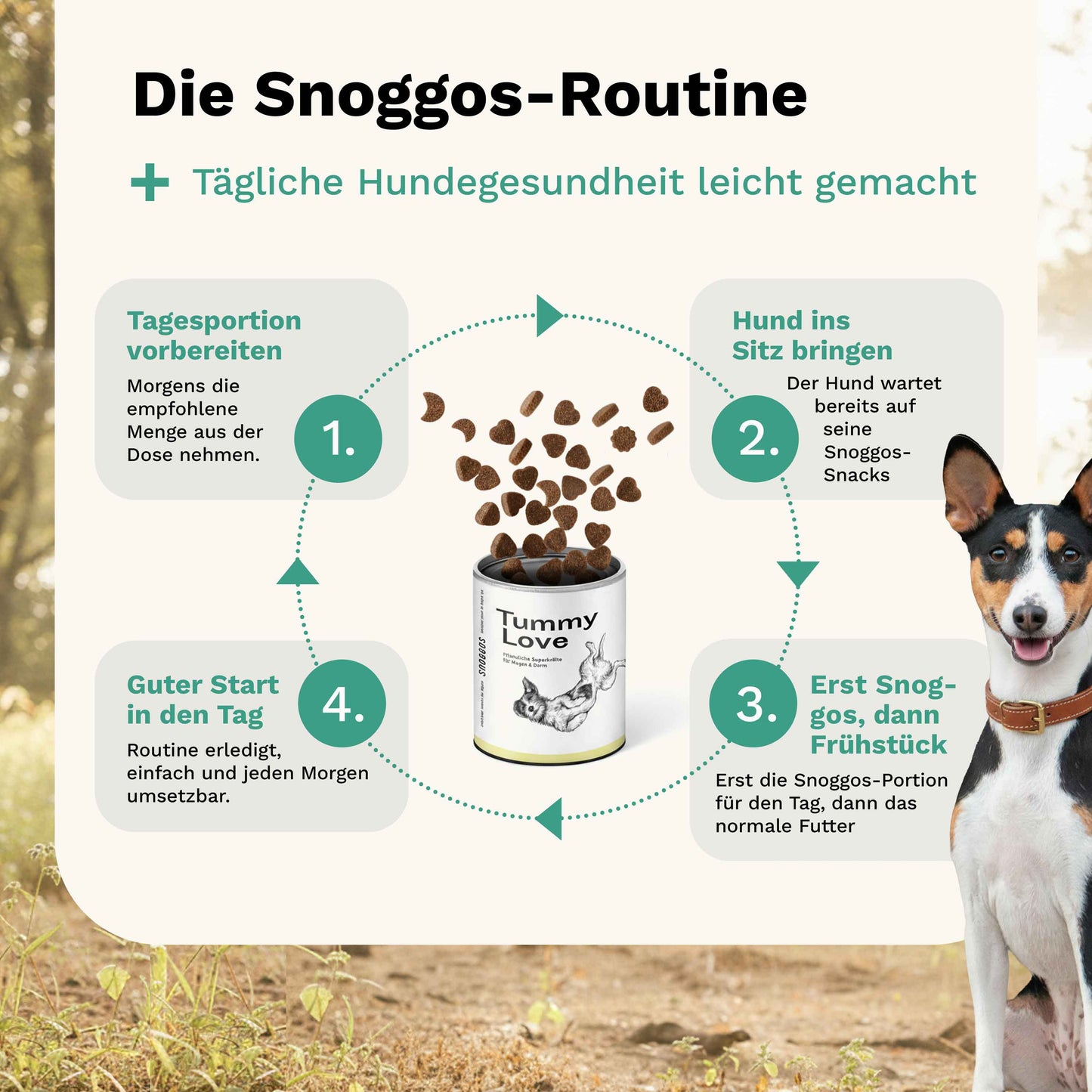 Snacks für Magen & Darm