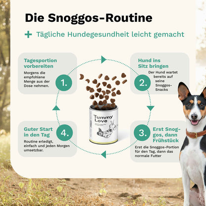 Snacks für Magen & Darm