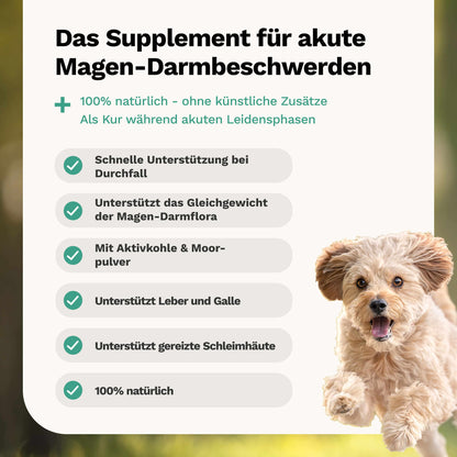 Kräutermischung: Für Magen & Darm AKUT gegen Durchfall