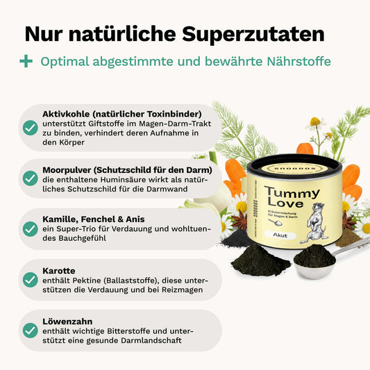 Kräutermischung: Für Magen & Darm AKUT gegen Durchfall