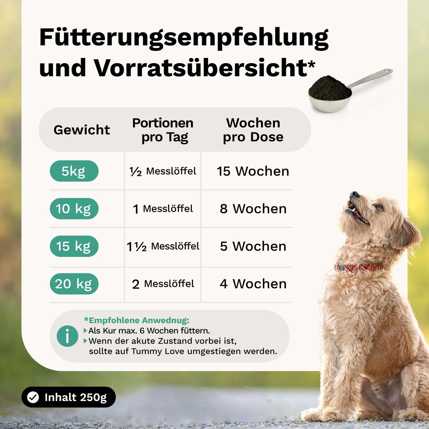 Kräutermischung: Für Magen & Darm AKUT gegen Durchfall