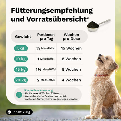 Kräutermischung: Für Magen & Darm AKUT gegen Durchfall