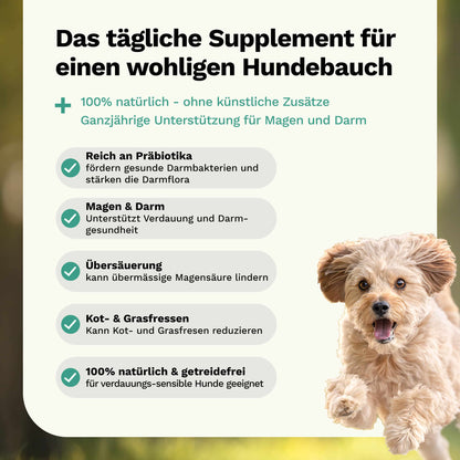 Kräutermischung für Magen & Darm