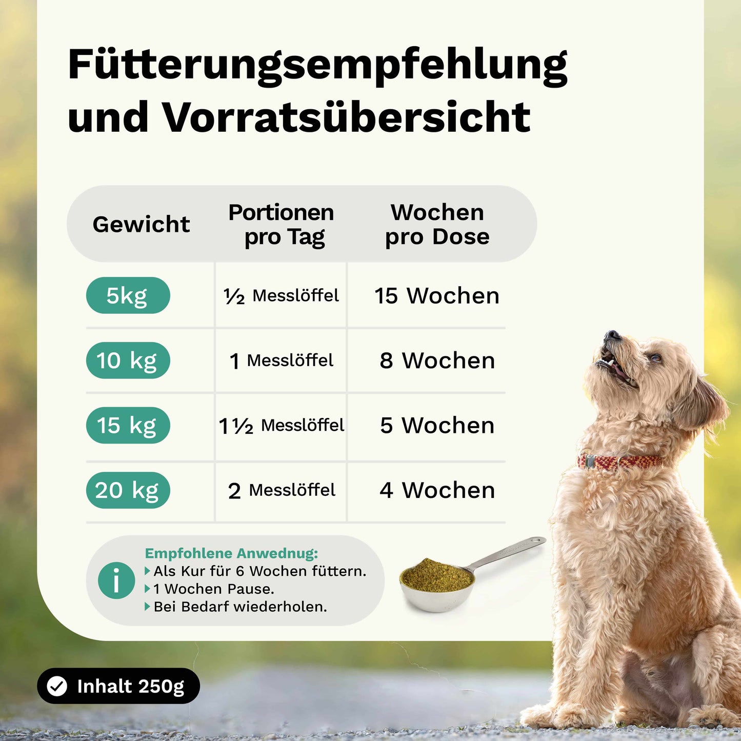 Kräutermischung für Magen & Darm