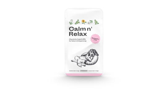 Snacks für Ruhe & Gelassenheit - Geschmacksprobe