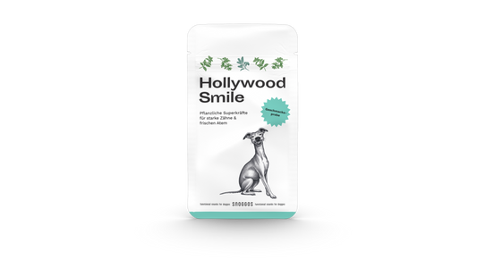 Snacks für Zähne und Zahnfleisch - Geschmacksprobe