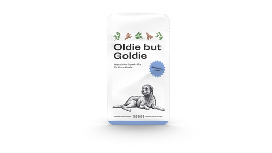 Snacks für ältere Hunde - Geschmacksprobe