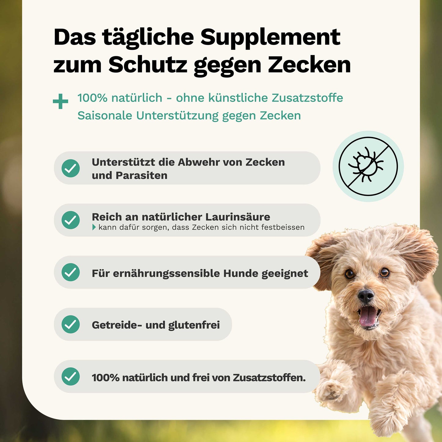 Kräutermischung gegen Zecken und Parasiten