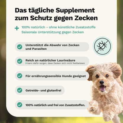 Kräutermischung gegen Zecken und Parasiten