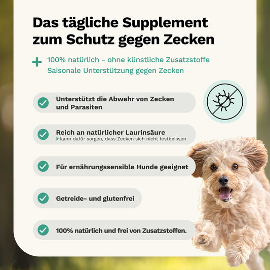 Kräutermischung gegen Zecken und Parasiten