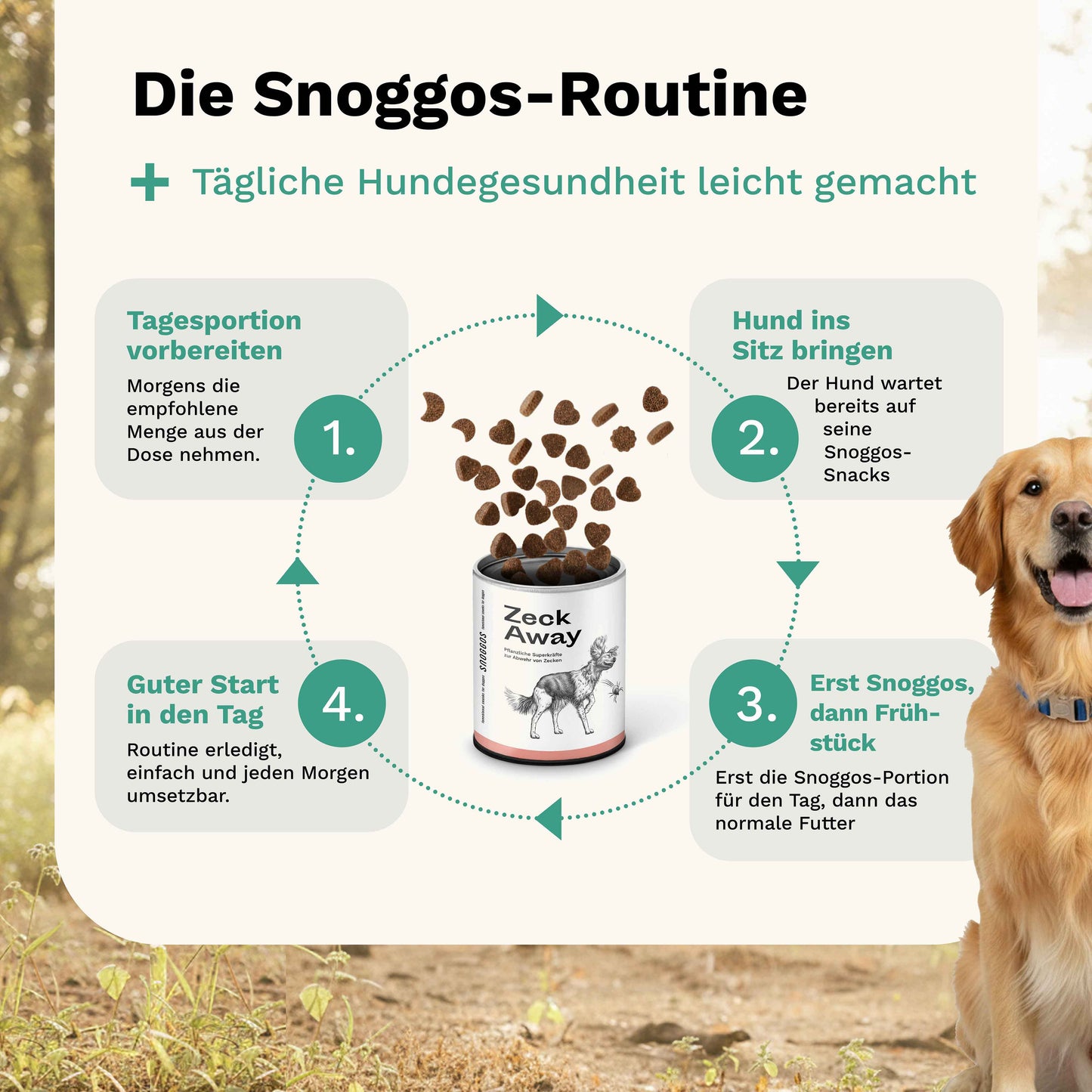 Tummy Love: Natural support for the stomach and intestines